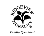 Ridgeview Nursery - specialists in Dahlias